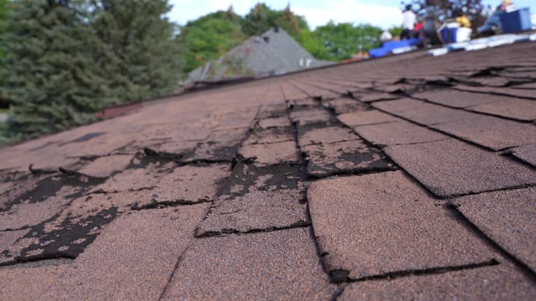 Best Gutter Installation and Repair  in Riverside, MO