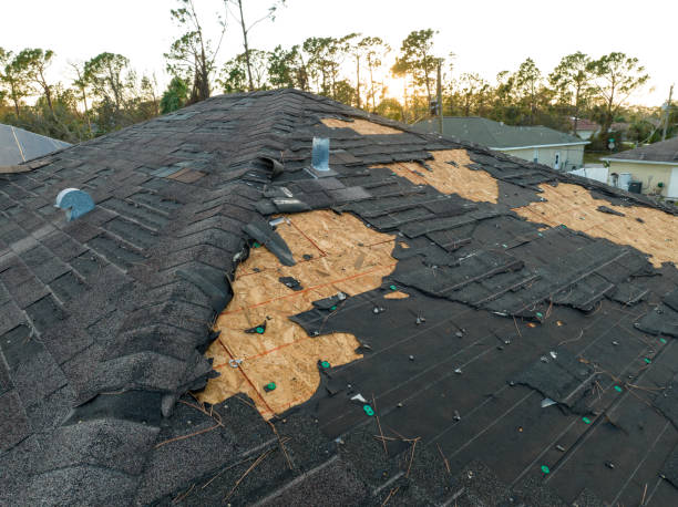 Best Roof Moss and Algae Removal  in Riverside, MO
