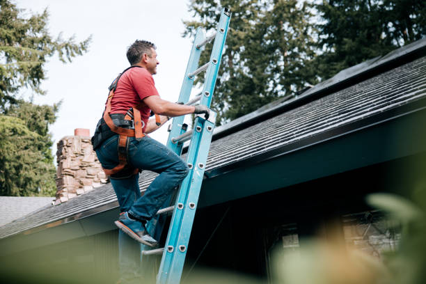 Best Skylight Installation and Repair  in Riverside, MO